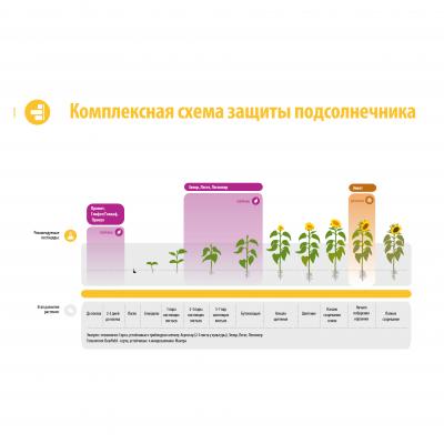 Схема защиты подсолнечника