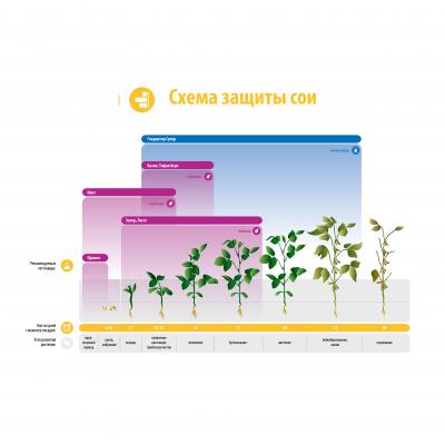 Схема защиты сои